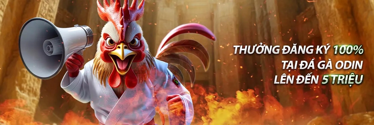 Tổng quan nền tảng tt888 app và các dịch vụ casino trực tiếp